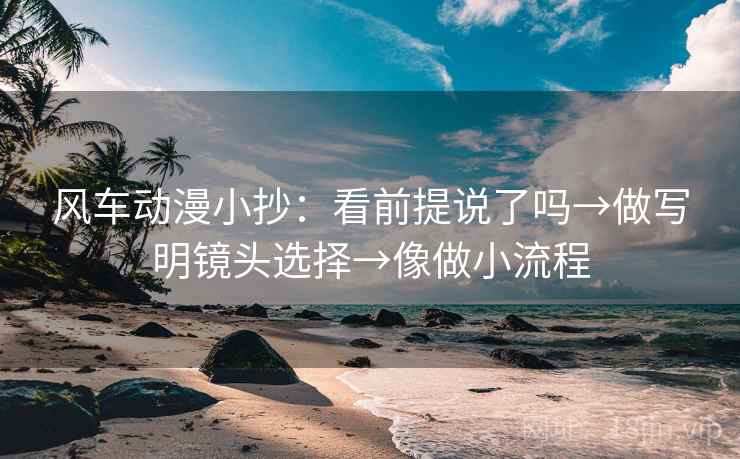 风车动漫小抄：看前提说了吗→做写明镜头选择→像做小流程